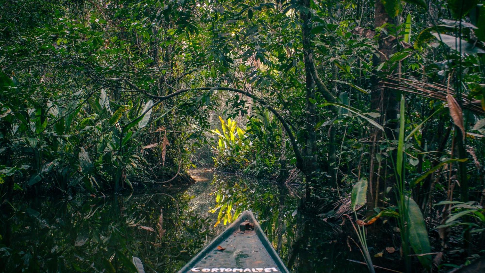 Corto Maltes Amazonia Lodge Πουέρτο Μαλντονάντο Εξωτερικό φωτογραφία