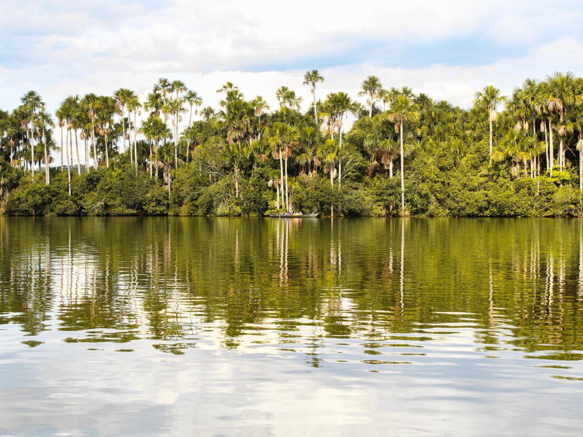 Corto Maltes Amazonia Lodge Πουέρτο Μαλντονάντο Εξωτερικό φωτογραφία