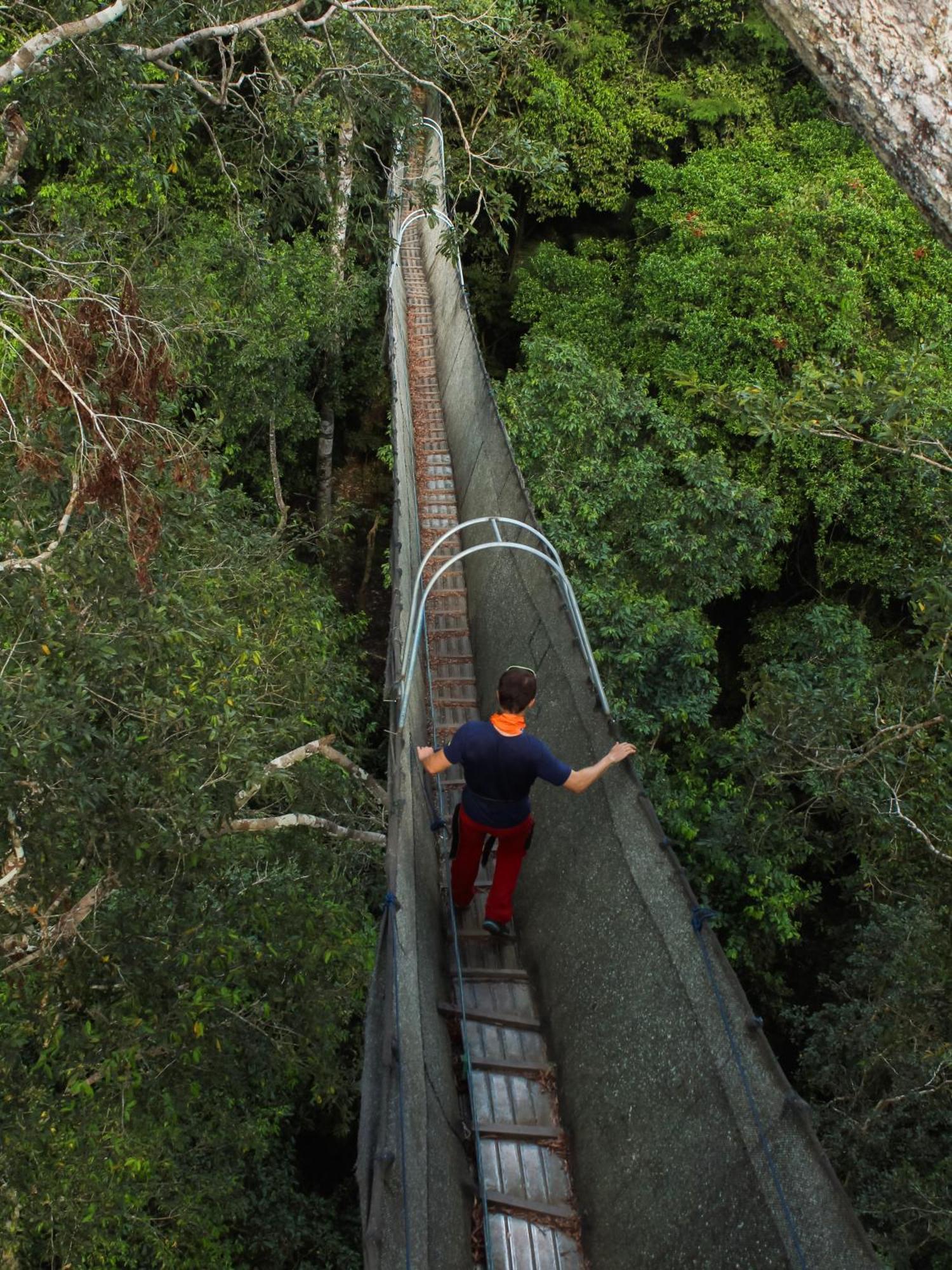 Corto Maltes Amazonia Lodge Πουέρτο Μαλντονάντο Εξωτερικό φωτογραφία