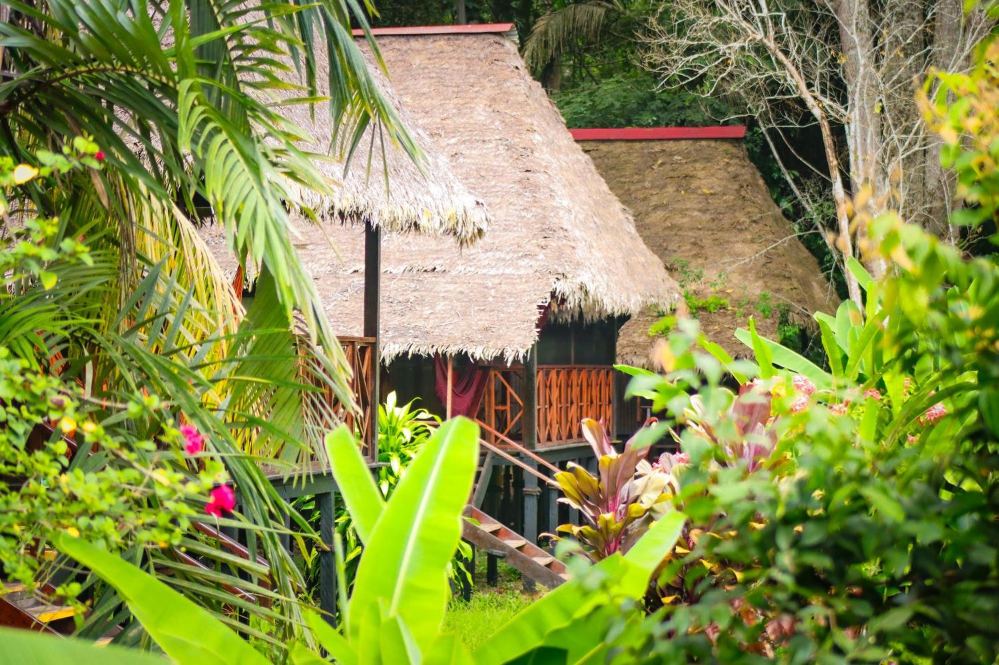 Corto Maltes Amazonia Lodge Πουέρτο Μαλντονάντο Εξωτερικό φωτογραφία