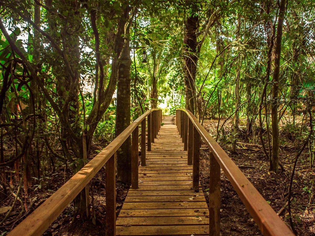 Corto Maltes Amazonia Lodge Πουέρτο Μαλντονάντο Εξωτερικό φωτογραφία